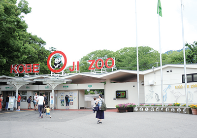 Pochitto（ぽちっト）神戸　｜　神戸市立王子動物園